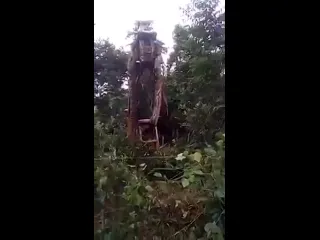 Анаконда