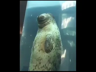 Лифт