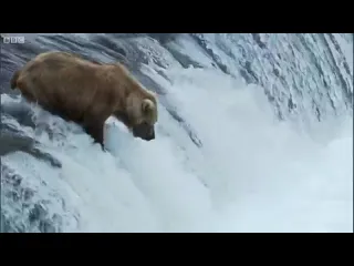 Рыболовы