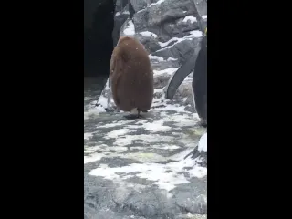 Тепло
