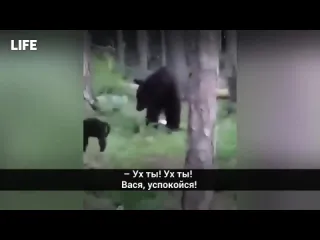 Вася