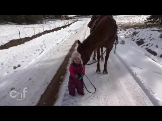 Лошадка