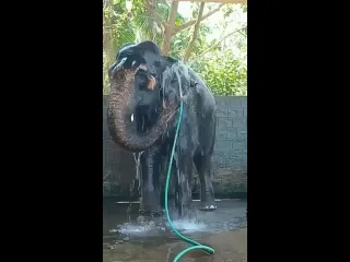Чистота
