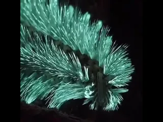 Многощетинковый червь