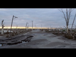 Человек разумный 2016 hd 1080