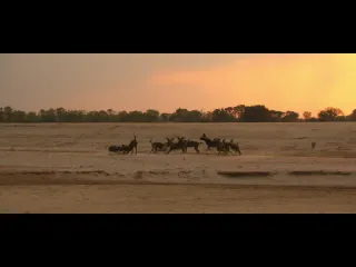 Дикие псы в стае а вот и дождь 6 серия из 6 2022 hd 1080