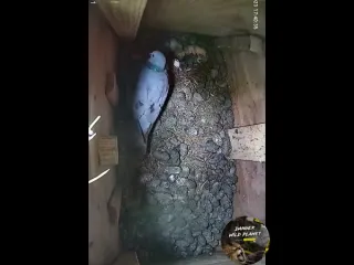 Отжал хату