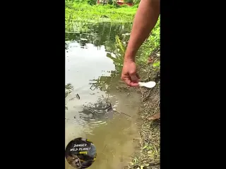 Рыбов