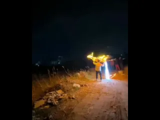 Радиоуправляемая жарптица