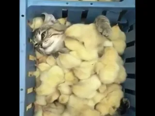 Замуровали демоны
