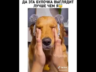 Да эта булочка выглядит лучше чем я