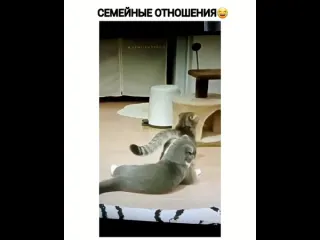 Семейные отношения