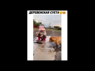 Деревенская суета