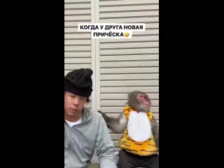 Когда у друга новая причска