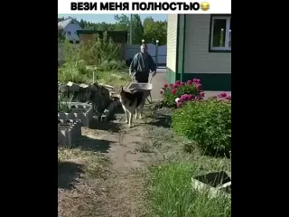 Осмотр владений
