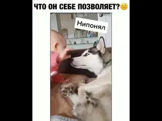 Что он себе позволяет