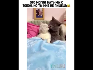 Это могли быть мы с тобой но ты мне не пишешь