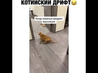 Котийский дрифт