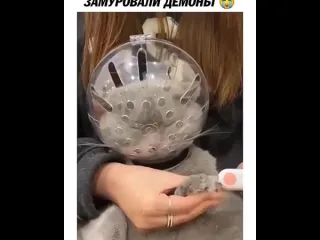 Замуровали демоны