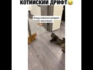 Котийский дрифт