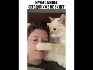 Ничего милее сегодня уже не будет