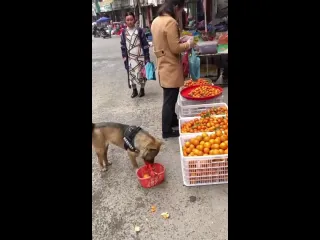 Пришел за покупками