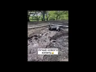 Лучше нового купить