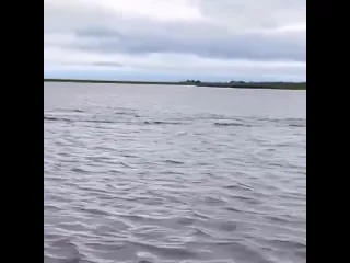Выбралась