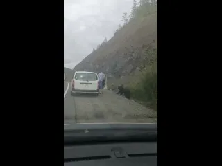 Прикормил мишку