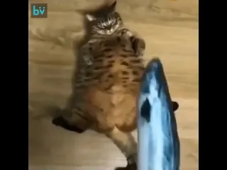 Улыбнись