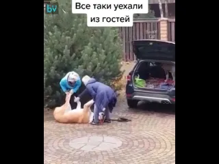 Когда не хочешь уезжать