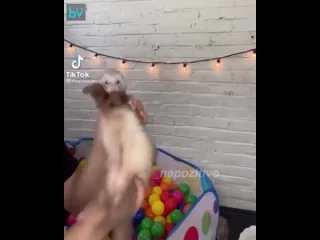 Потанцуем