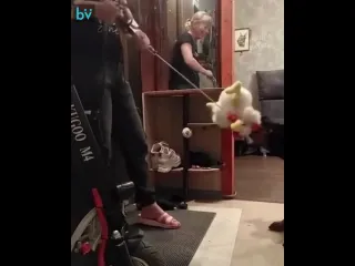 Разорву