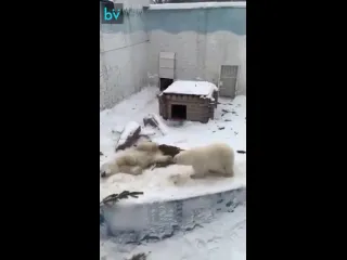 Саня ты в порядке