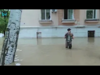 В керчи во время наводнения местные жители вытащили из воды ежа спасаясь от воды он стоял на небольшой оградке посреди улицы