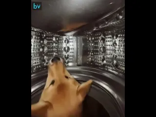 Космонавты