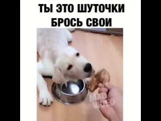 Ты это шуточки брось свои