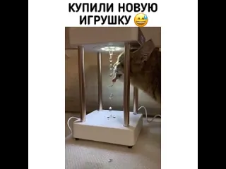 Купили новую игрушку