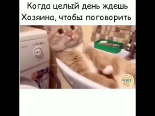 Хочется поговорить по душам