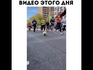 Видео этого дня