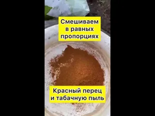 Подкормка для капусты