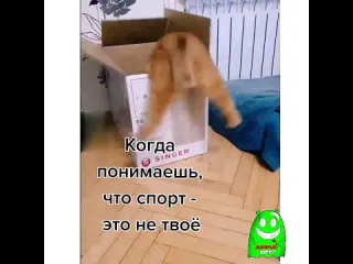 Когда спорт это не твое