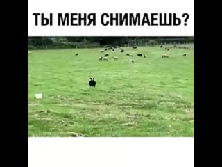 Ты меня снимаешь