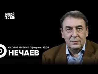 Живой гвоздь скандал вокруг подписей за надеждина андрей нечаев особое мнение 070224