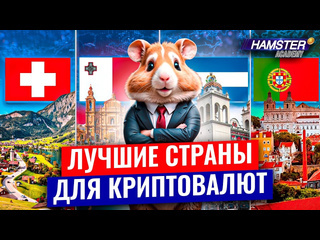 Hamster kombat russian гайд по лучшим странам для криптовалют hamster academy 1080p