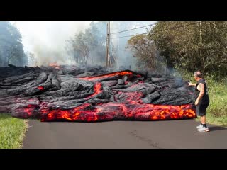 Мастерская настроения случаи в природе один на миллион 1080p