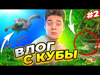 Эмиль иманов встреча с крокодилами дайвинг еда на кубе влог 2 1080p