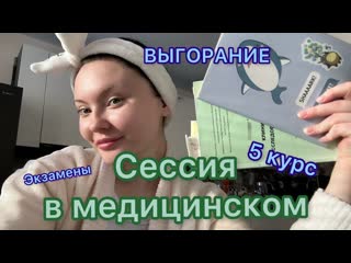 I am your beasty в медицинском влог сессия в медицинском на 5 курсе подготовка экзамены нытье и выгорание