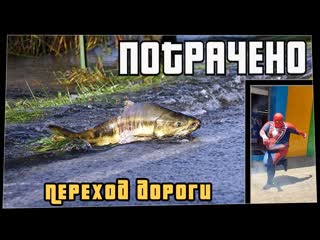 Потрачено потрачено переход дороги лучшие приколы смешные видео и фейлы 1080p