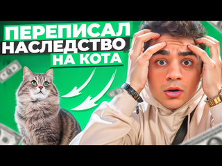 Эмиль иманов переписал наследство на кота 1080p